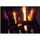 10.9Kw Class 1 Coal Effect Gas Fire NG22